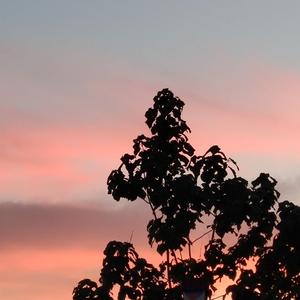 宝可梦美女裸体❌开腿网站
